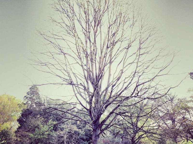 Auto Mercier Málaga — photo 3