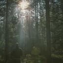 Auto Mercier Málaga