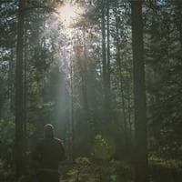 Auto Mercier Málaga