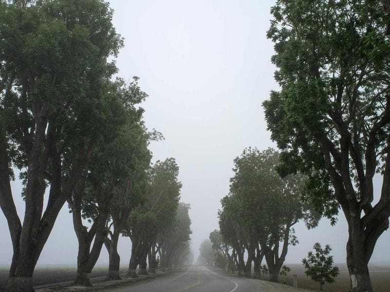 Colocation Málaga Est - Chambre meublée