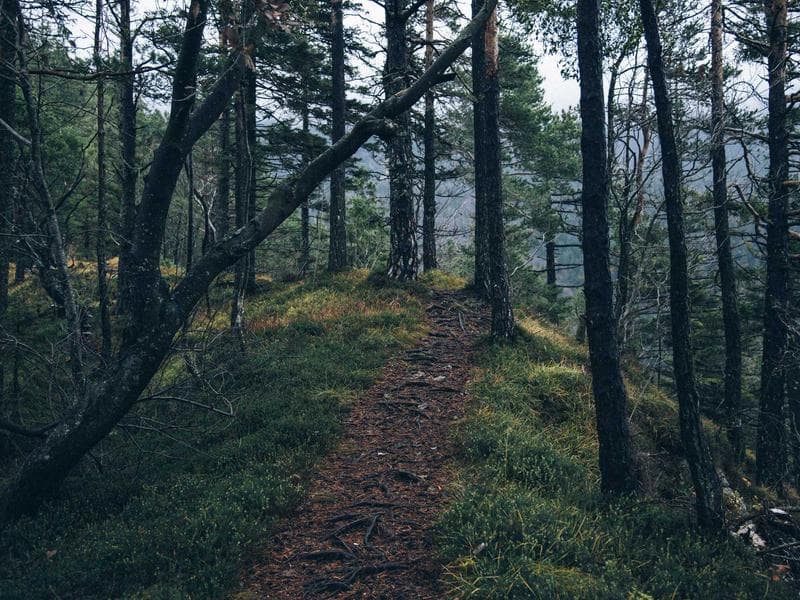 Aide déménagement - Homme avec camionnette