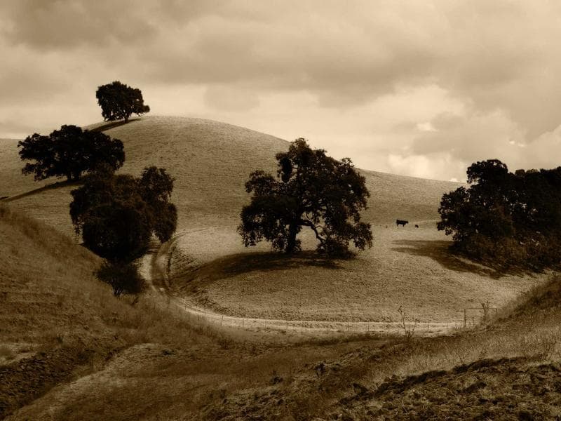 Volkswagen Golf 7 GTI 2018 — miniature 3