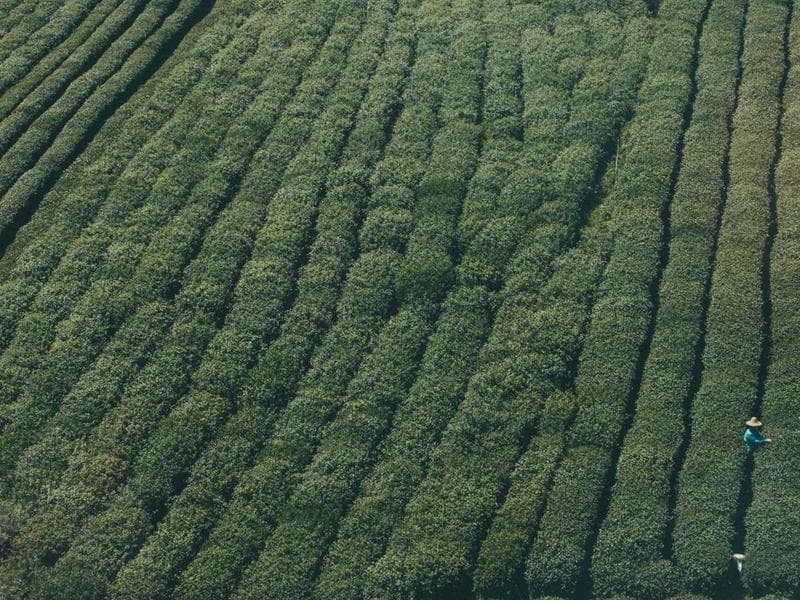 Nike Air Max 90 neuves - Taille 43 — miniature 2