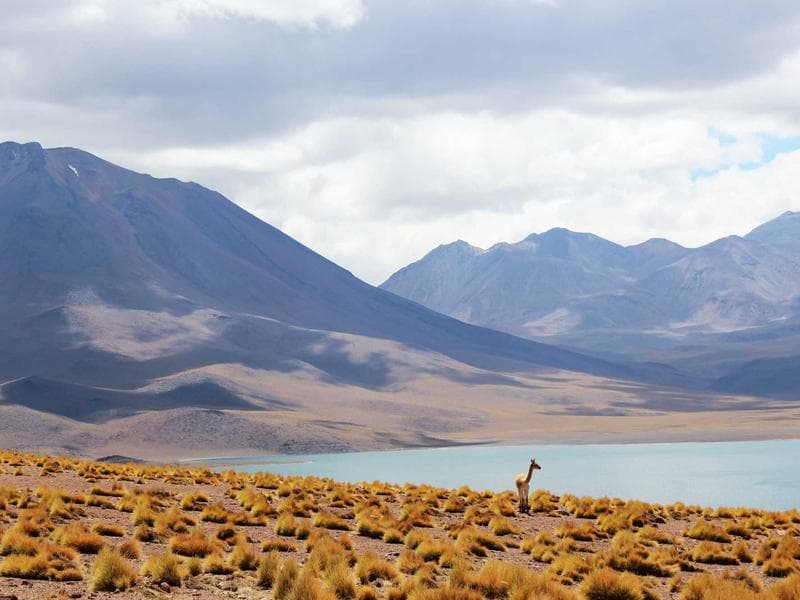 T2 lumineux centre Málaga - 750€/mois — miniature 4