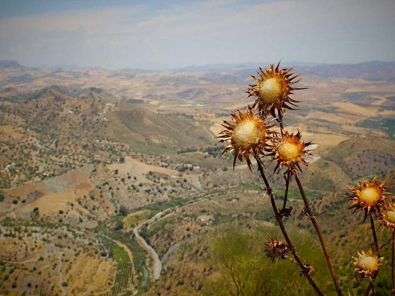 Table à manger extensible + 6 chaises
