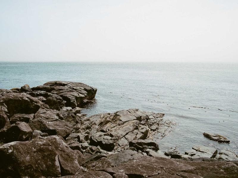 Lot vêtements femme été - Taille M