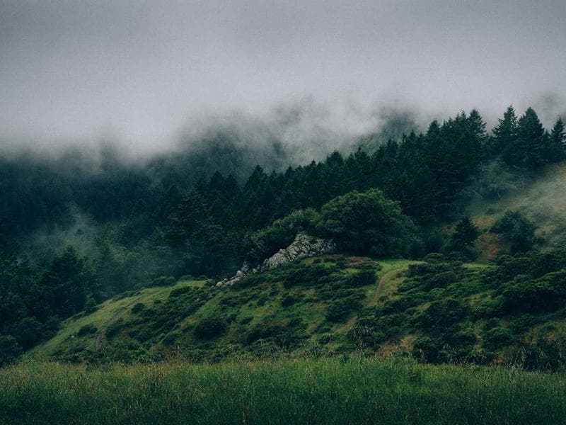 Cours de yoga en français - Marbella — miniature 2